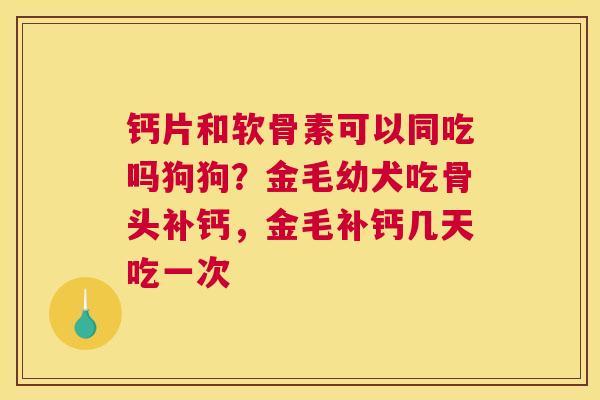 钙片和软骨素可以同吃吗狗狗？金毛幼犬吃骨头补钙，金毛补钙几天吃一次
