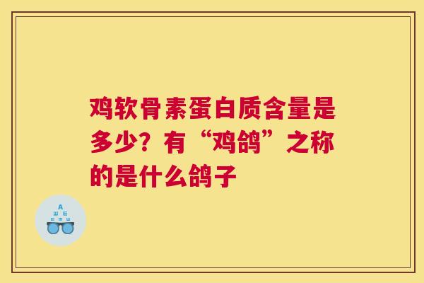 鸡软骨素蛋白质含量是多少？有“鸡鸽”之称的是什么鸽子