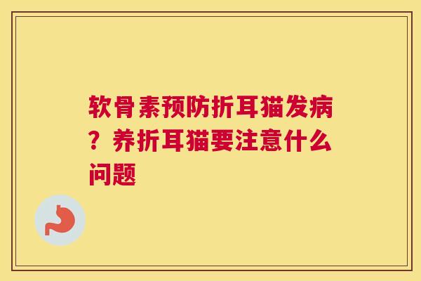 软骨素预防折耳猫发病？养折耳猫要注意什么问题