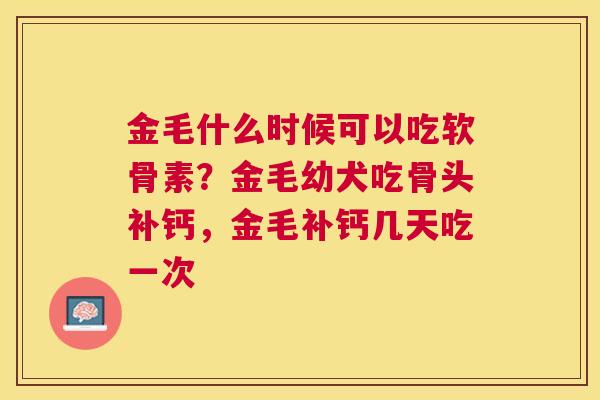金毛什么时候可以吃软骨素？金毛幼犬吃骨头补钙，金毛补钙几天吃一次