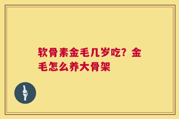 软骨素金毛几岁吃？金毛怎么养大骨架