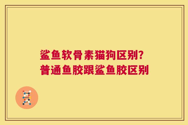 鲨鱼软骨素猫狗区别？普通鱼胶跟鲨鱼胶区别
