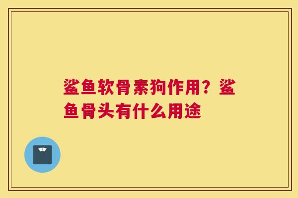 鲨鱼软骨素狗作用？鲨鱼骨头有什么用途