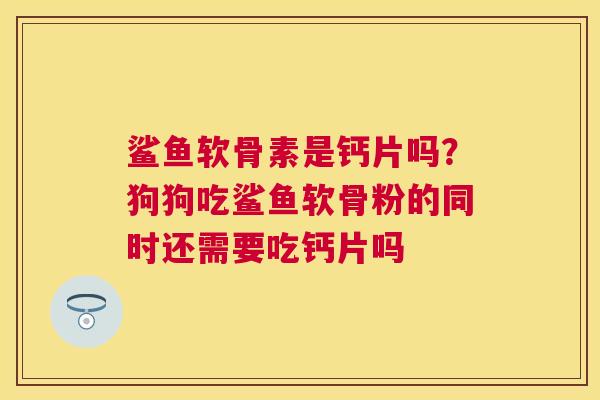 鲨鱼软骨素是钙片吗?狗狗吃鲨鱼软骨粉的同时还需要吃钙片吗 鲨鱼软骨素是钙片吗?狗狗吃鲨鱼软骨粉的同时还需要吃钙片吗