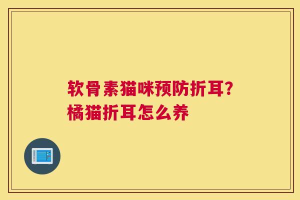 软骨素猫咪折耳？橘猫折耳怎么养