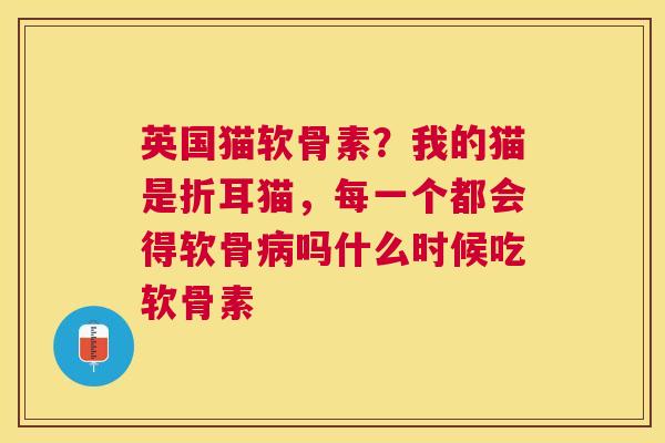英国猫软骨素？我的猫是折耳猫，每一个都会得软骨吗什么时候吃软骨素