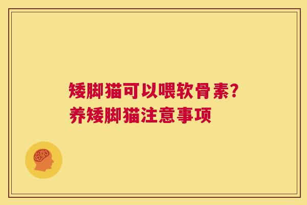 矮脚猫可以喂软骨素?养矮脚猫注意事项 矮脚猫可以喂软骨素?养矮脚猫注意事项