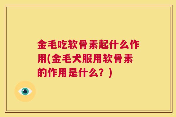 金毛吃软骨素起什么作用(金毛犬服用软骨素的作用是什么？)