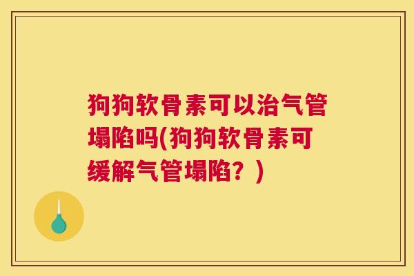 狗狗软骨素可以治气管塌陷吗(狗狗软骨素可缓解气管塌陷？)
