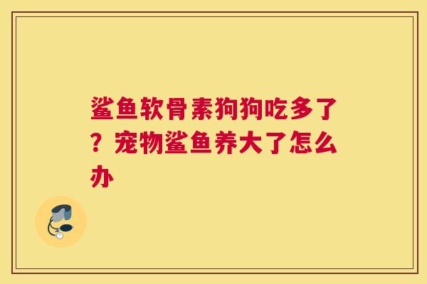 鲨鱼软骨素狗狗吃多了？宠物鲨鱼养大了怎么办