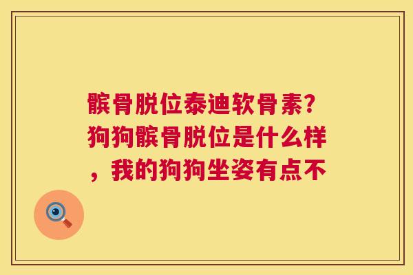 髌骨脱位泰迪软骨素？狗狗髌骨脱位是什么样，我的狗狗坐姿有点不