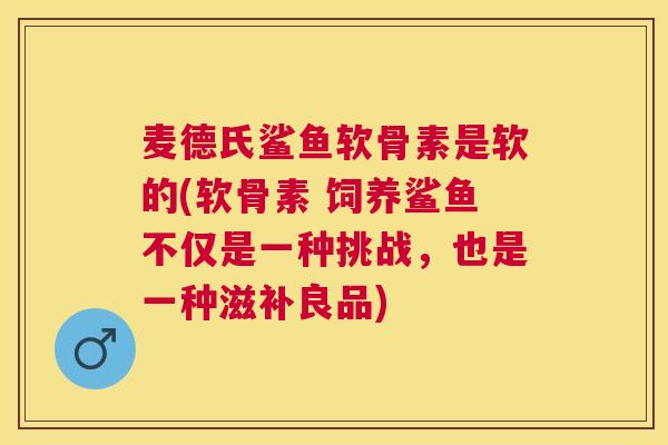 麦德氏鲨鱼软骨素是软的(软骨素 饲养鲨鱼不仅是一种挑战，也是一种滋补良品)