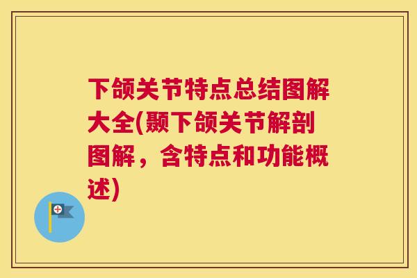 下颌关节特点总结图解大全(颞下颌关节解剖图解，含特点和功能概述)