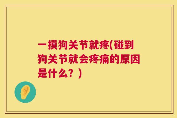 一摸狗关节就疼(碰到狗关节就会的原因是什么？)