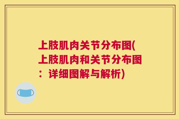 上肢肌肉关节分布图(上肢肌肉和关节分布图：详细图解与解析)