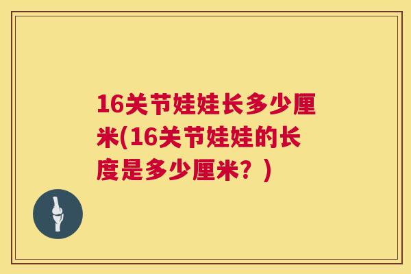 16关节娃娃长多少厘米(16关节娃娃的长度是多少厘米？)