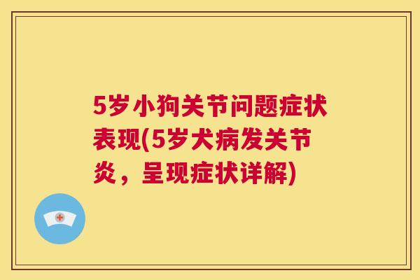 5岁小狗关节问题症状表现(5岁犬发，呈现症状详解)