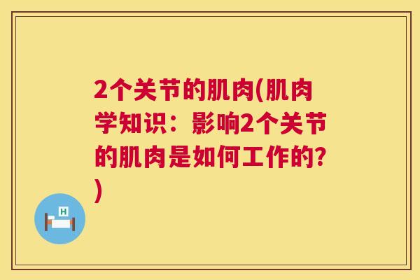2个关节的肌肉(肌肉学知识：影响2个关节的肌肉是如何工作的？)
