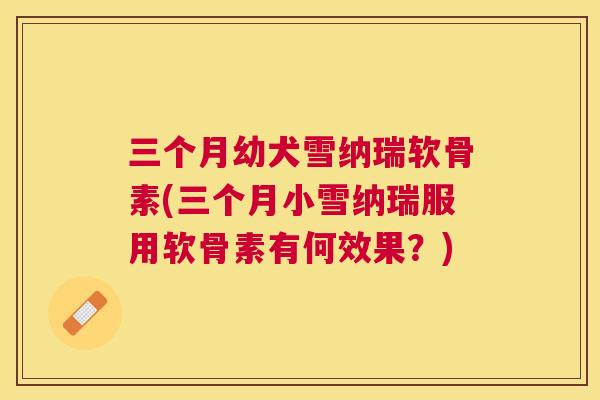 三个月幼犬雪纳瑞软骨素(三个月小雪纳瑞服用软骨素有何效果？)