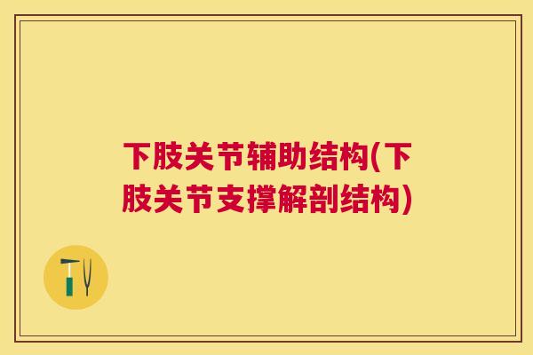 下肢关节辅助结构(下肢关节支撑解剖结构)