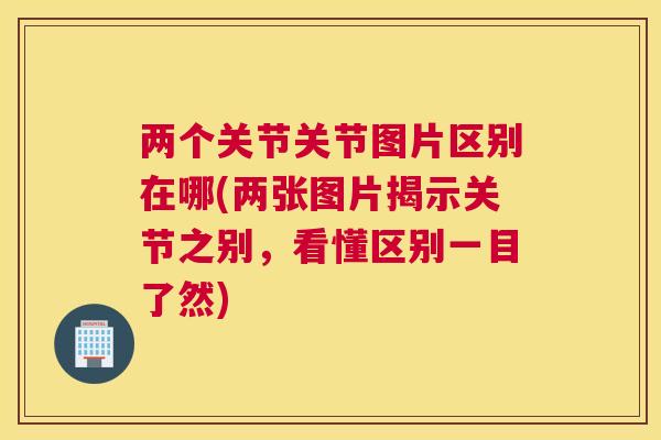 两个关节关节图片区别在哪(两张图片揭示关节之别，看懂区别一目了然)