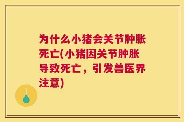 为什么小猪会关节肿胀死亡(小猪因关节肿胀导致死亡，引发兽医界注意)