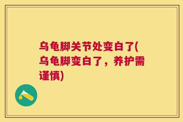 乌龟脚关节处变白了(乌龟脚变白了，养护需谨慎)