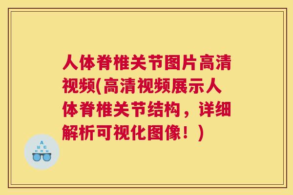 人体脊椎关节图片高清视频(高清视频展示人体脊椎关节结构，详细解析可视化图像！)