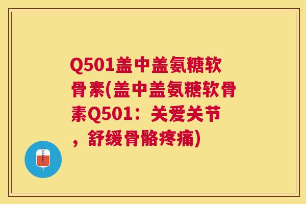 Q501盖中盖氨糖软骨素(盖中盖氨糖软骨素Q501：关爱关节，舒缓骨骼疼痛)
