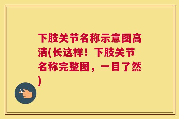 下肢关节名称示意图高清(长这样！下肢关节名称完整图，一目了然)
