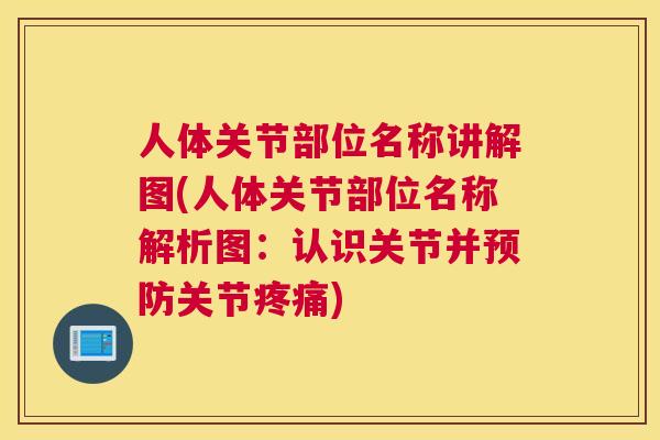 人体关节部位名称讲解图(人体关节部位名称解析图：认识关节并预防关节疼痛)