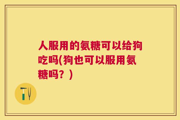 人服用的氨糖可以给狗吃吗(狗也可以服用氨糖吗？)