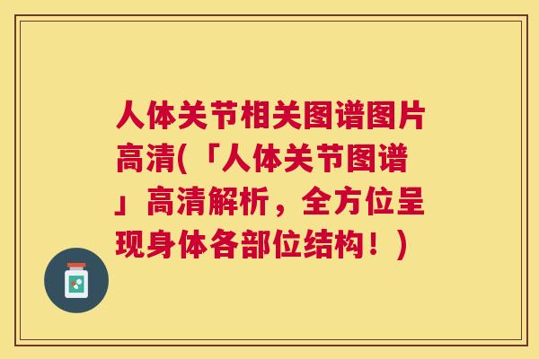 人体关节相关图谱图片高清(「人体关节图谱」高清解析，全方位呈现身体各部位结构！)