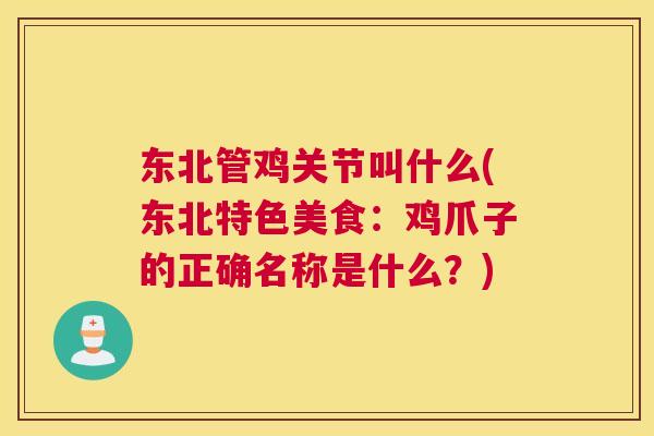 东北管鸡关节叫什么(东北特色美食：鸡爪子的正确名称是什么？)