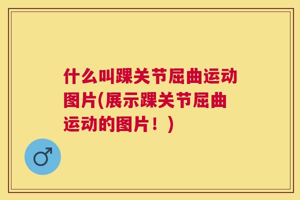什么叫踝关节屈曲运动图片(展示踝关节屈曲运动的图片！)