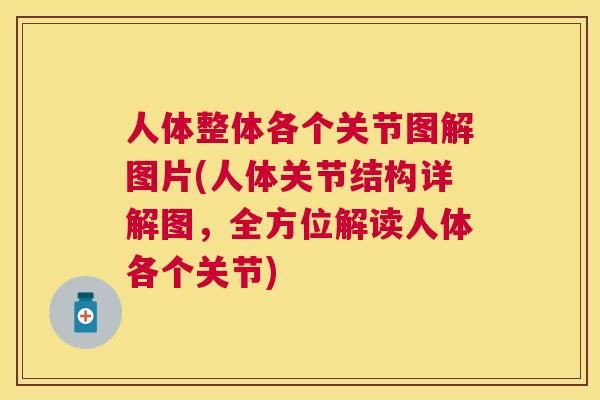 人体整体各个关节图解图片(人体关节结构详解图，全方位解读人体各个关节)