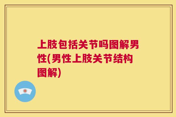 上肢包括关节吗图解男性(男性上肢关节结构图解)