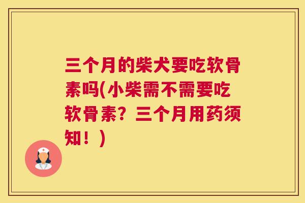 三个月的柴犬要吃软骨素吗(小柴需不需要吃软骨素？三个月用药须知！)