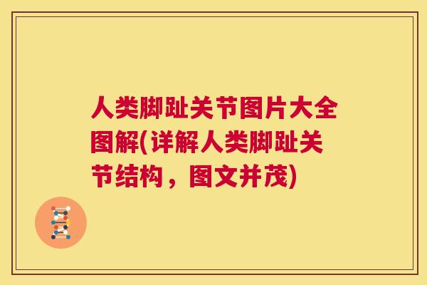 人类脚趾关节图片大全图解(详解人类脚趾关节结构，图文并茂)
