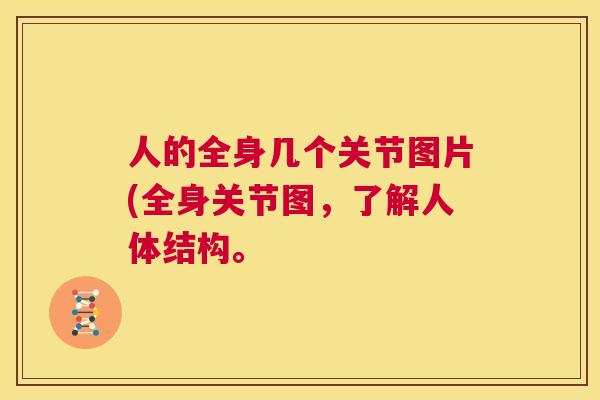 人的全身几个关节图片(全身关节图，了解人体结构。