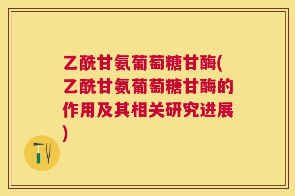 乙酰甘氨葡萄糖甘酶(乙酰甘氨葡萄糖甘酶的作用及其相关研究进展)