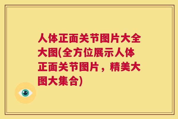 人体正面关节图片大全大图(全方位展示人体正面关节图片，精美大图大集合)