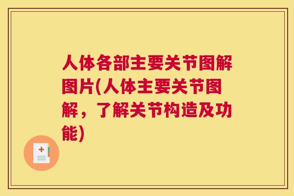人体各部主要关节图解图片(人体主要关节图解，了解关节构造及功能)