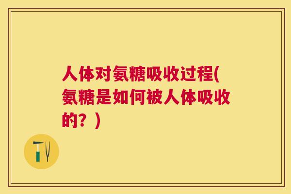 人体对氨糖吸收过程(氨糖是如何被人体吸收的？)