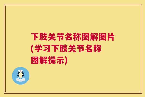下肢关节名称图解图片(学习下肢关节名称 图解提示)