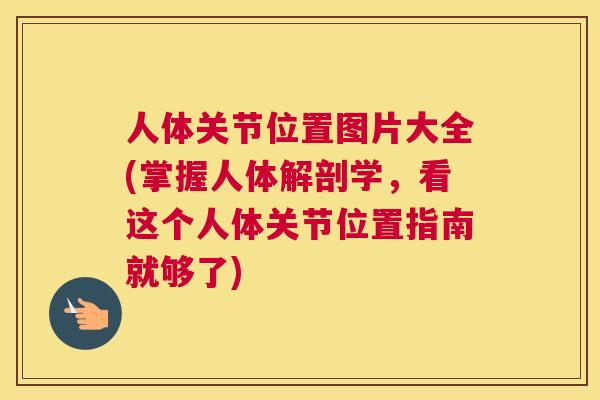 人体关节位置图片大全(掌握人体解剖学，看这个人体关节位置指南就够了)