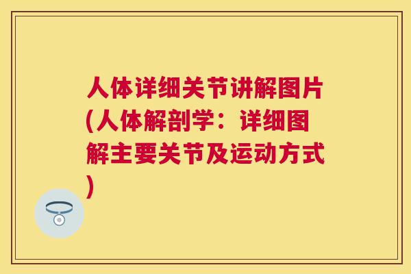 人体详细关节讲解图片(人体解剖学：详细图解主要关节及运动方式)