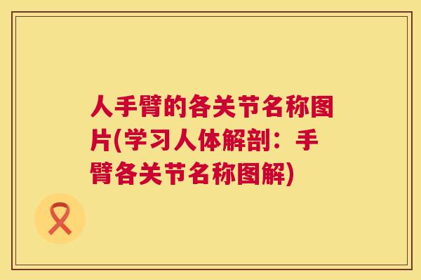 人手臂的各关节名称图片(学习人体解剖：手臂各关节名称图解)