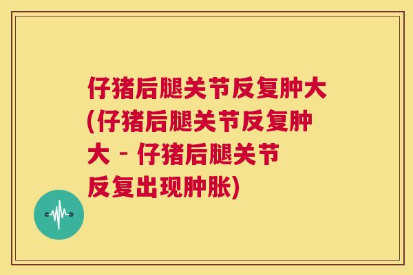 仔猪后腿关节反复肿大(仔猪后腿关节反复肿大 - 仔猪后腿关节反复出现)