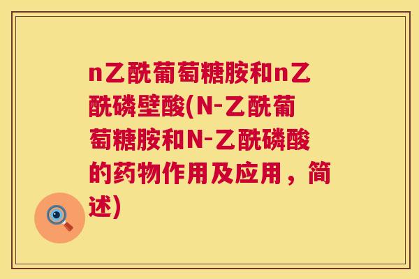 n乙酰葡萄糖胺和n乙酰磷壁酸(N-乙酰葡萄糖胺和N-乙酰磷酸的药物作用及应用，简述)